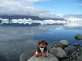 P1040202- Teou devant le lac glaciaire Jokulsarlon